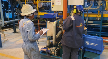 Compressed air leaks and screw pumps inspection in a Cameroonian power plant